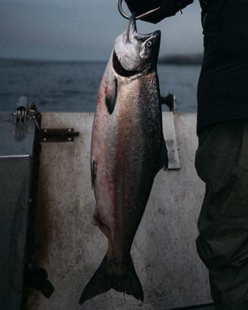 Ocean Fishing