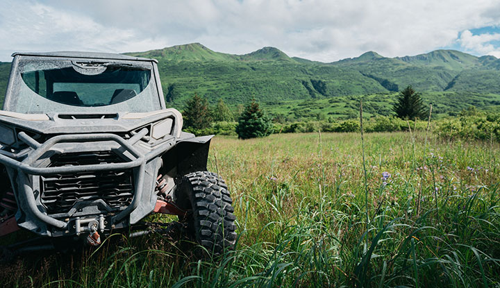 UTV in a meadow