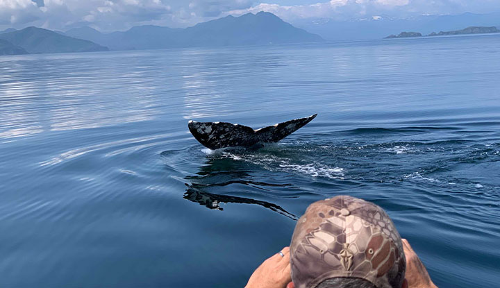 Whale watching in Ugak Bay, Alaska